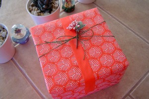 A photograph of a gift-wrapped present. Image attribution: http://www.flickr.com/photos/min_photos/ / CC BY-NC-ND 2.0