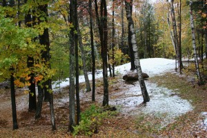 working productively: a photograph of the view out of my office window in early winter