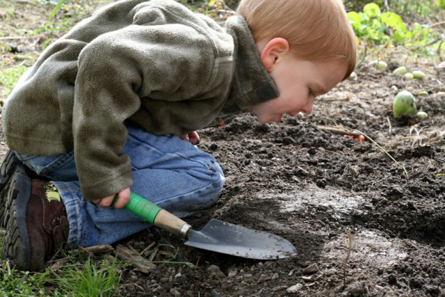 Photograph of a child wearing a jacket and jeans kneeling on muddy ground. They are holding a trowel and staring intently at a hole. Image attribution: Flickr user chiotsrun