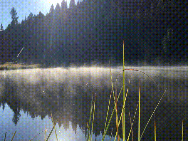 I stop talking for five days: a photograph of mist floating above a pond at the Vallecitos meditation retreat center