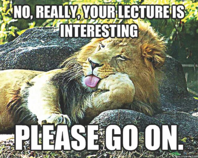 Three better alternatives to the conference lecture: a photograph of a bored resting lion with the caption "NO, REALLY, YOUR LECTURE IS INTERESTING PLEASE GO ON."