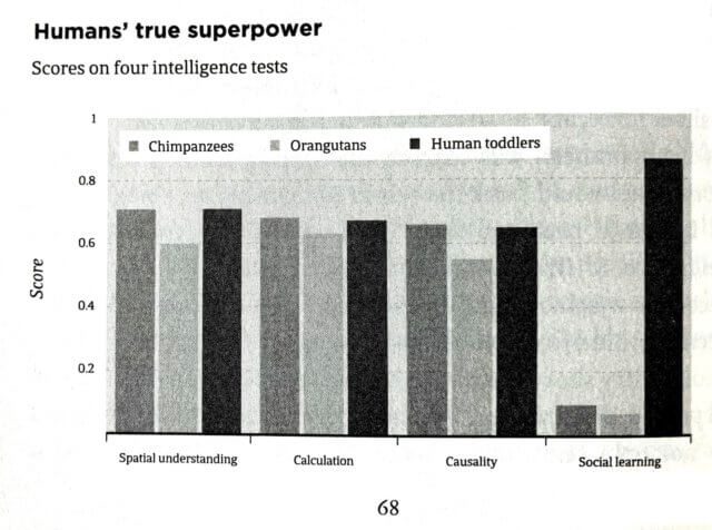 An illustration entitled "Human's true superpower" showing scores on four kinds of intelligence tests by chimpanzees, orangutans, and human toddlers. Illustration from "Humankind" by Rutger Bregman.