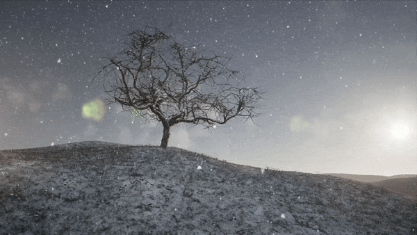 An animation of snow falling on a single tree in a barren landscape with the Taylor Swift phrase: "It was rare, I was there, I remember it all too well."