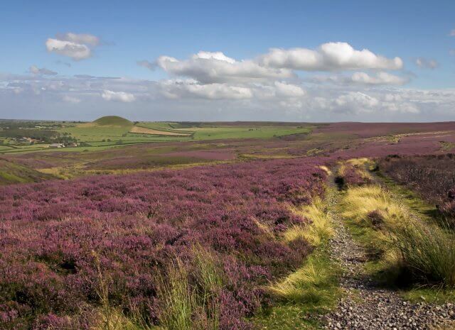 I live on The Moors: a photograph of a brightly colored moor with brown, purple, green, and yellow vegetation Image attribution: 4wd at English Wikipedia. - Transferred from en.wikipedia to Commons., Public Domain, https://commons.wikimedia.org/w/index.php?curid=42295185